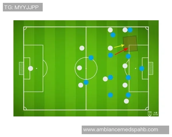 深入分析北京排球队防守策略与战术特点的专业解读