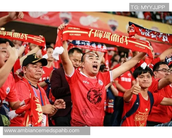 足球纪实：记录深圳足球队的成长故事